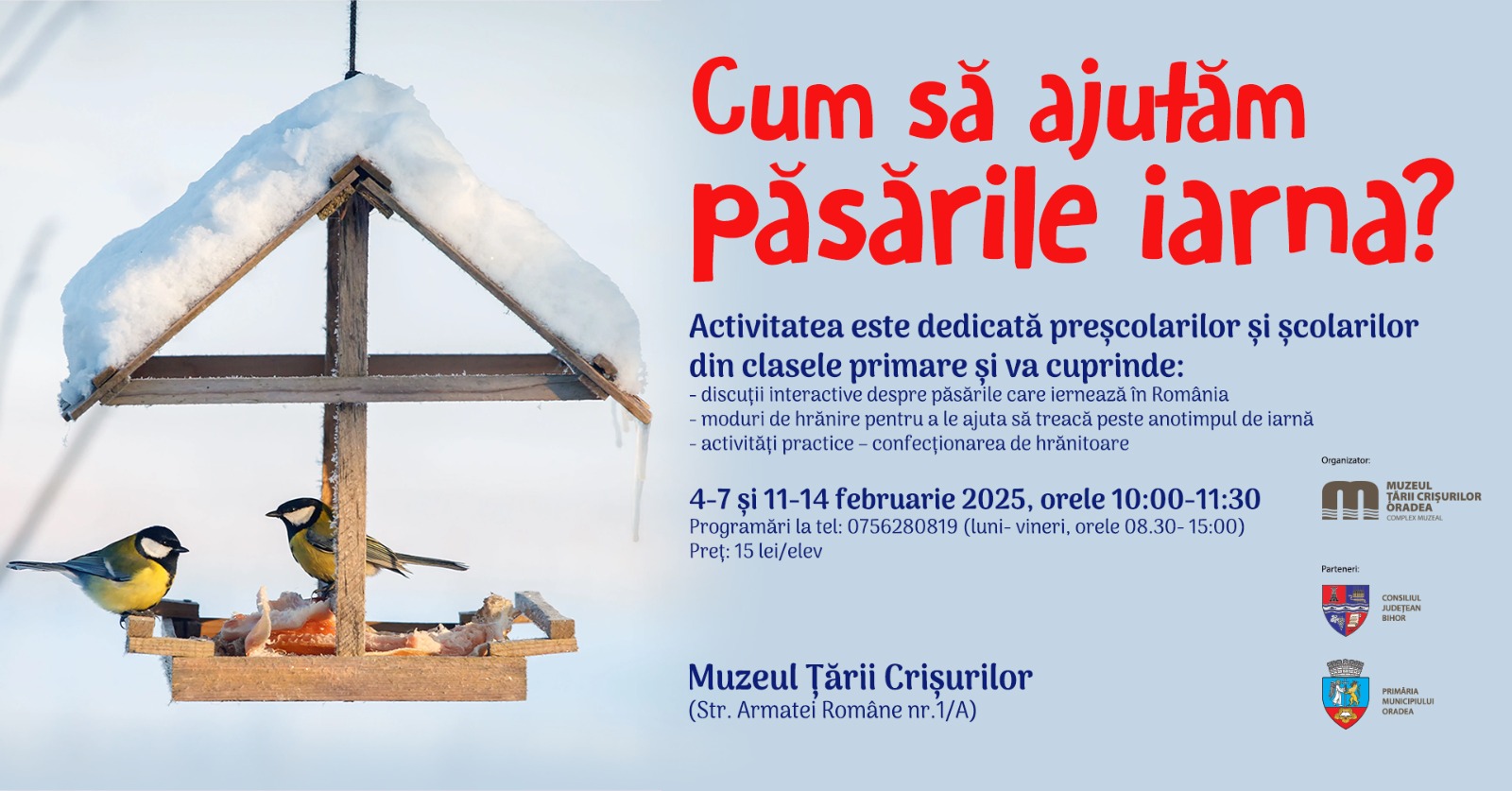 Atelier de educație muzeală dedicat copiilor, la Muzeul Țării Crișurilor: „Cum să ajutăm păsările iarna?”