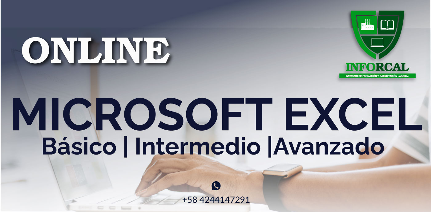 MICROSOFT EXCEL ONLINE