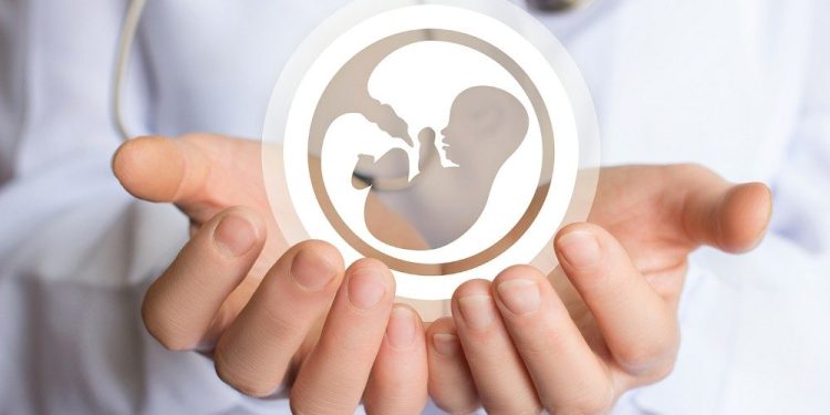 El año en que eclosionó la conciencia provida en el mundo