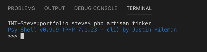 Laravel tinker. Laravel tinker