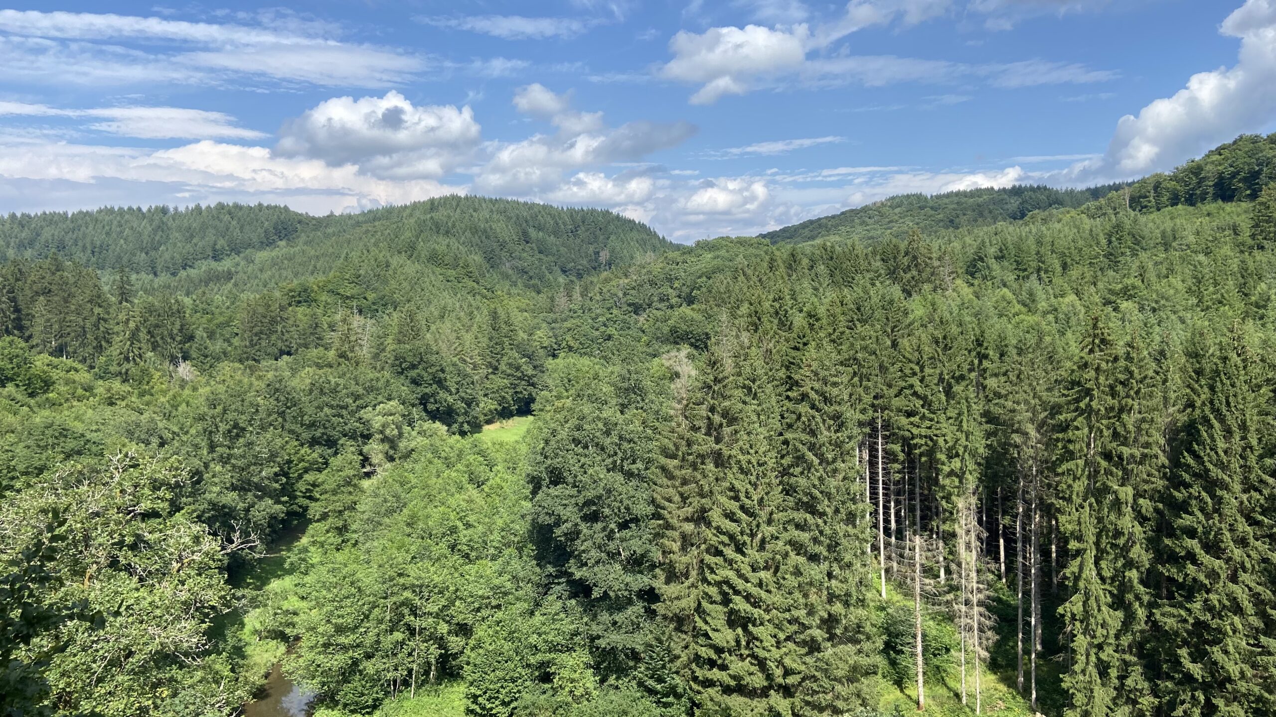Blick auf die Lieser in der Vulkaneifel