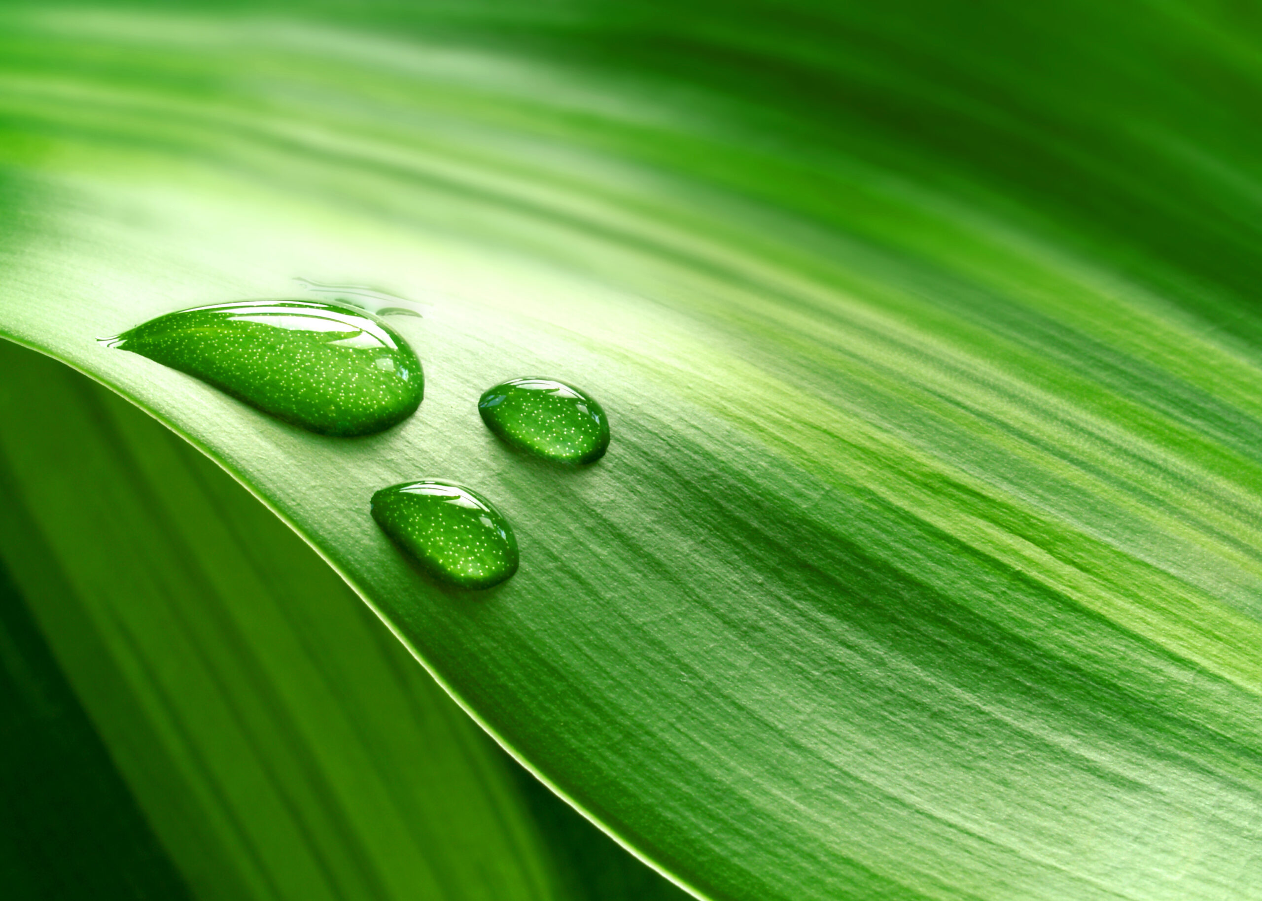 Does ‘green’ always mean clean?