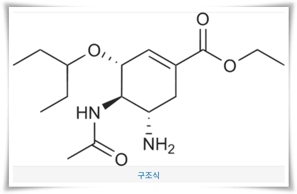 독감약 타미플루