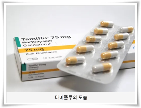 독감약 타미플루