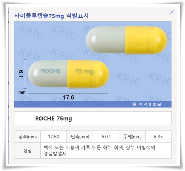 독감약 타미플루