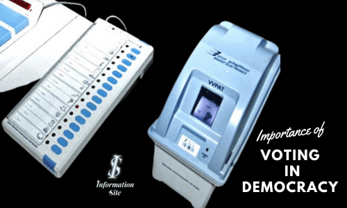 Voting in Democracy