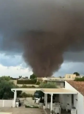 Incontri ravvicinati con una dragunara