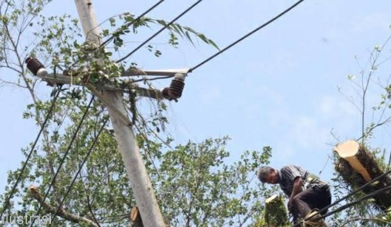 Kurleb sejk j 3 tadi listrik daerah sumberrejo padam.mohon penanganannya. Gangguan Listrik Wilayah Bojonegoro Penambahan Wilayah Kuasa Pertambangan Pn Restaurant Malaysia Di Bandung Enak