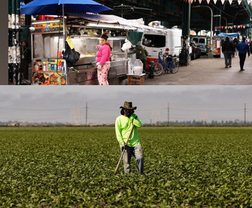 Encore une bonne nouvelle pour les migrants ,l’administration de Trump annonce une potentielle voie de régularisation pour les travailleurs agricoles et hôteliers sans-papiers aux États-Unis