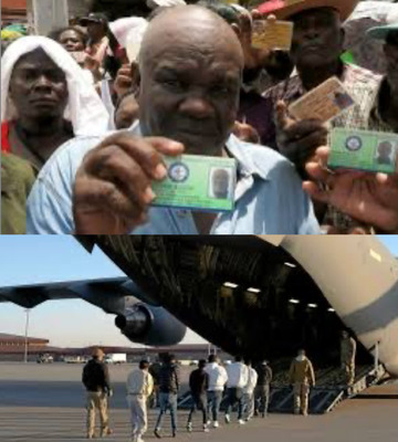 CBP alerte les étrangers : ils doivent toujours porter leur carte de séjour,sinon  ils risquent la peine  d’expulsion