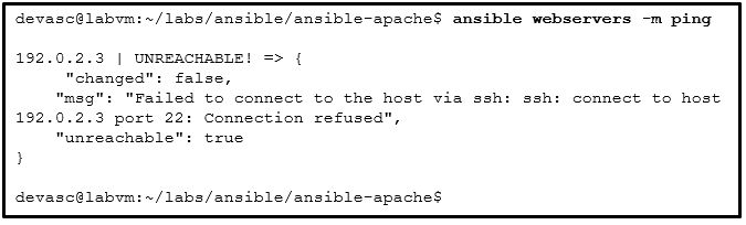 Devnet Associate Version 1 0 Devnet Associate Module 3 Exam Answers - Incredible Colorful Texture - Ultra HD