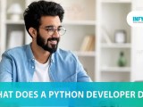 What Does A Python Developer Do Infycle Technologies