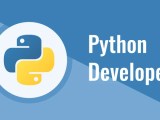 What Does A Python Developer Do Infycle Technologies