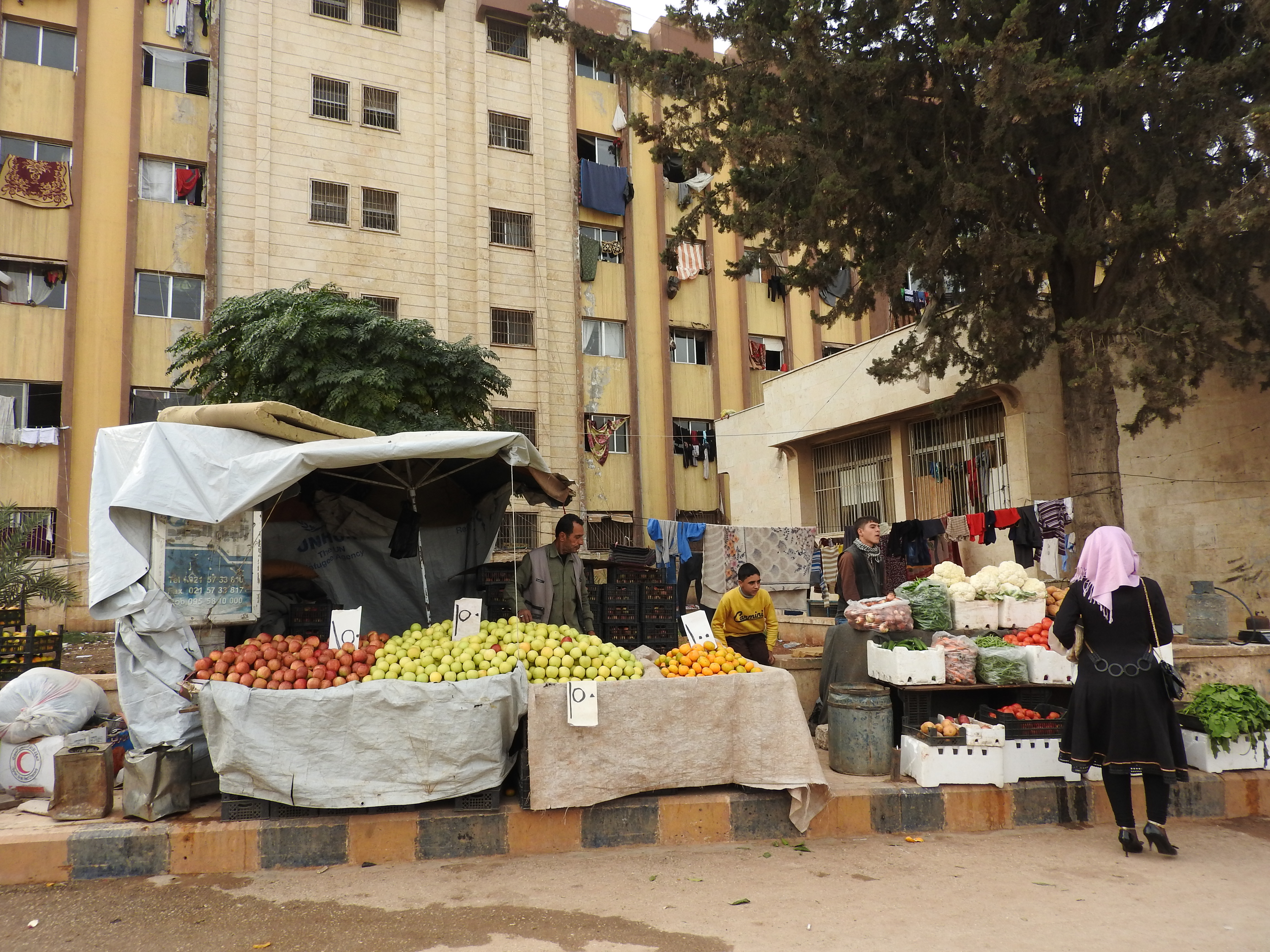 Aleppo University residences, which by November 2016 had been housing well over 10,000 internally displaced Syrians from areas of Aleppo and its countryside for around 4 or more years. One of the residences was hit by a terrorist missile the week prior, killing four from one family. From: https://ingaza.wordpress.com/2016/11/24/overview-of-latest-month-long-visit-to-syria-aleppo-and-damascus/