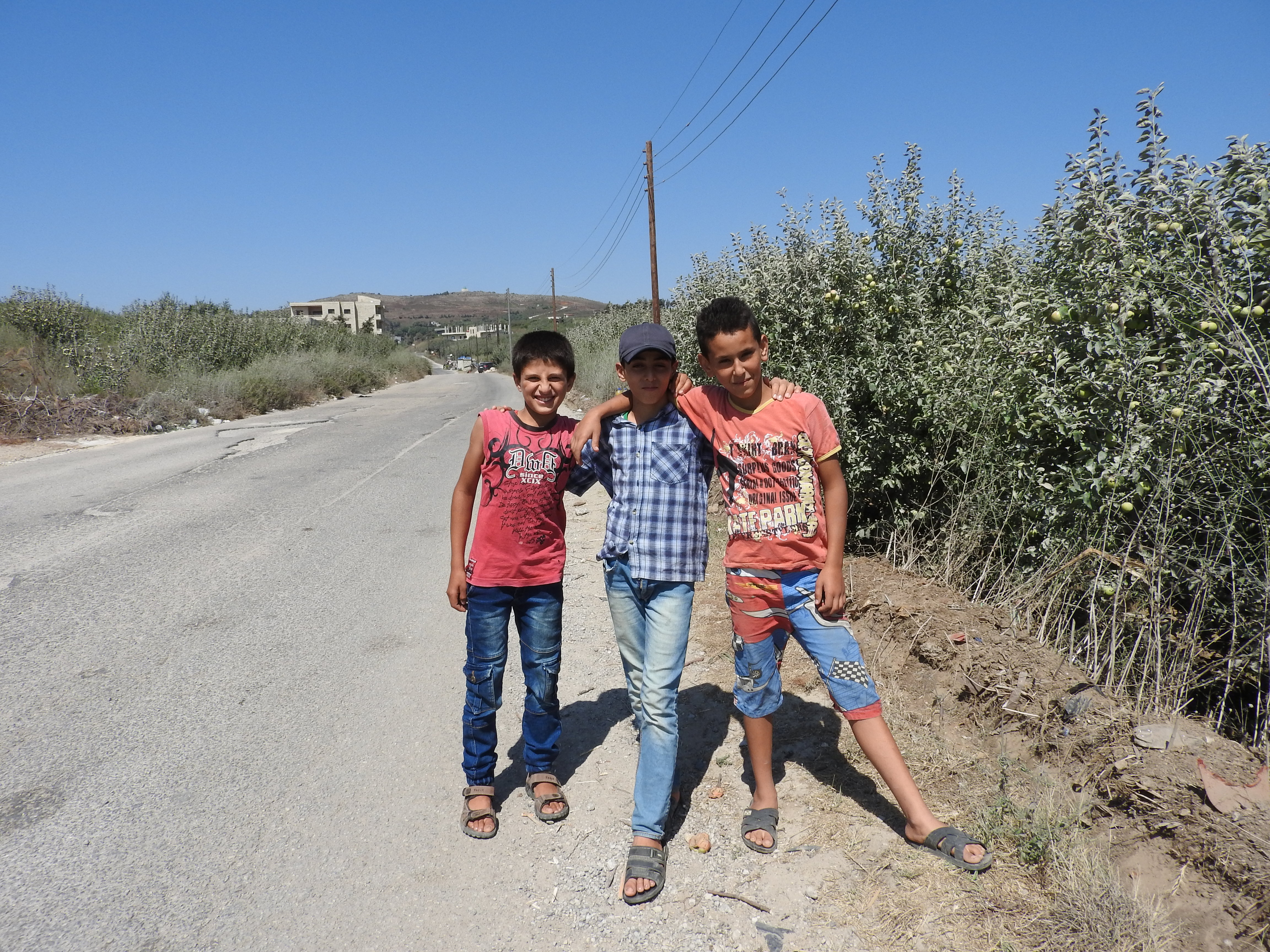 Masyaf, summer 2016.