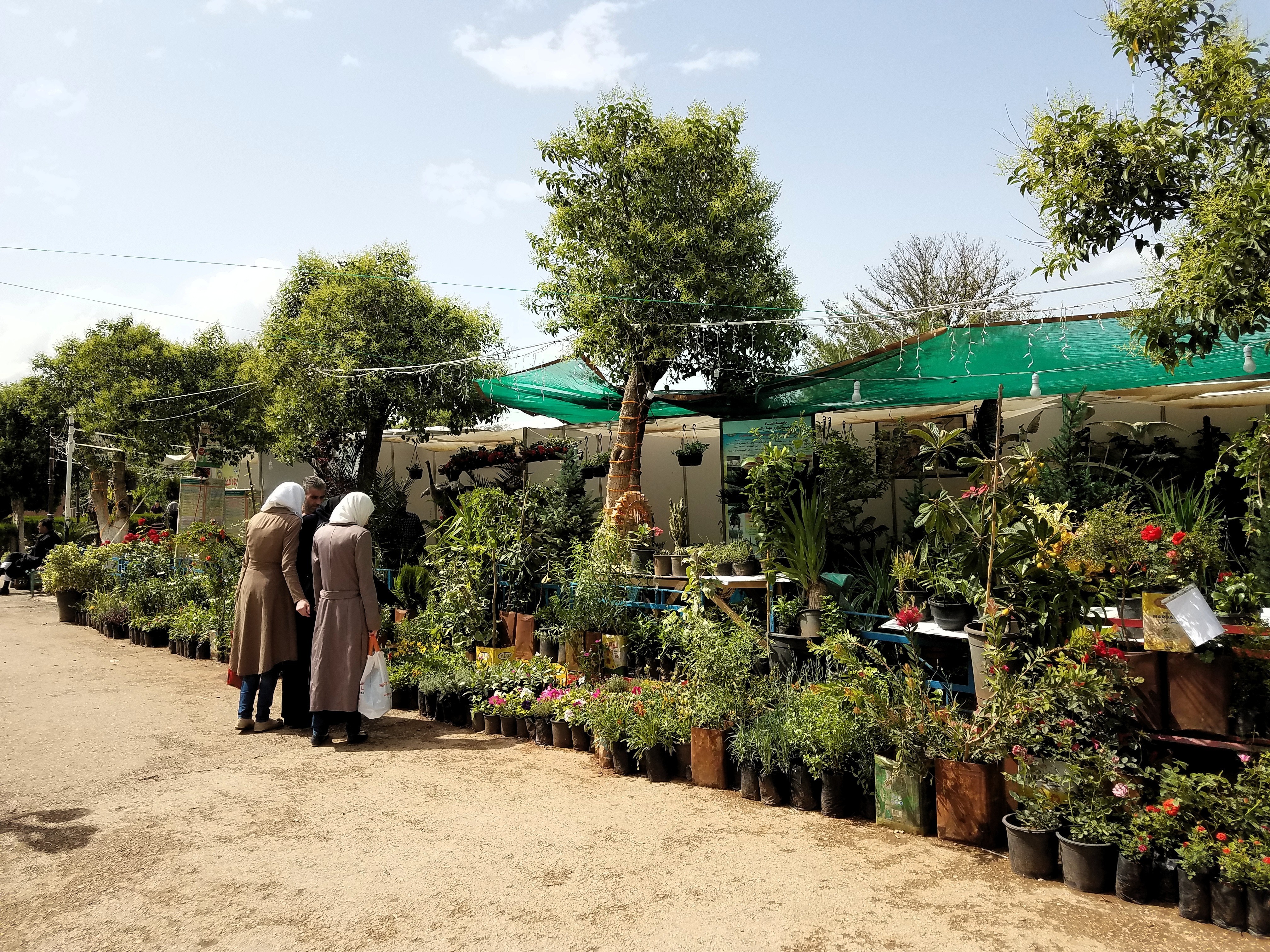 Hama city, which has 4 frontlines with terrorists (countryside Latakia-Idlib, Aleppo-Ithriya, Salimiya, southern Hama province, houses internally displaced Syrians from Idlib, Raqqa, Deir ez Zor, Homs...Hama has 12,500 martyrs, of whom 10,000 are Syrian soldiers. Photo May 2018