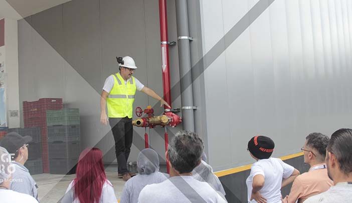 proyecto-INGEPRO_NEW-REST-5