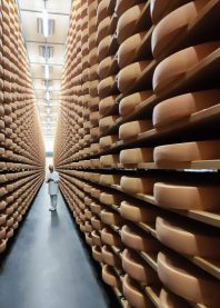 The ripening cellars at Rupp AG