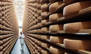The ripening cellars at Rupp AG