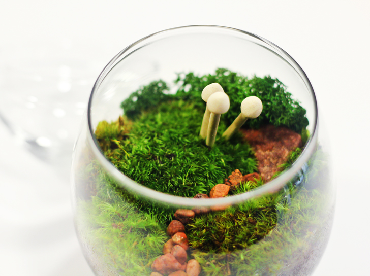 Many of these easy home diy projects are less than $100 and only. Terrarium In A Brandy Snifter Inhabitat Green Design Innovation Architecture Green Building