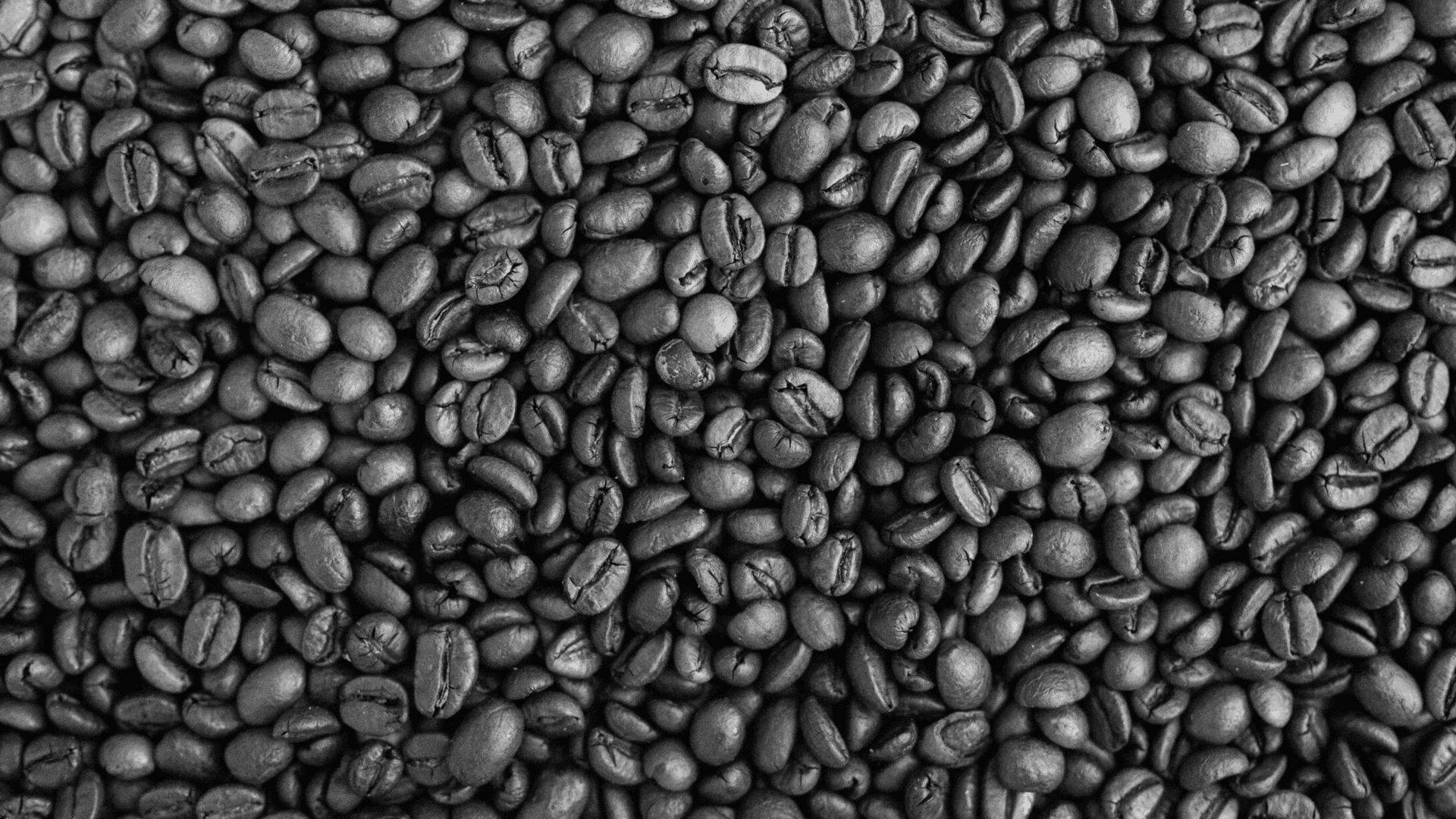 Coffee - Agro Blog