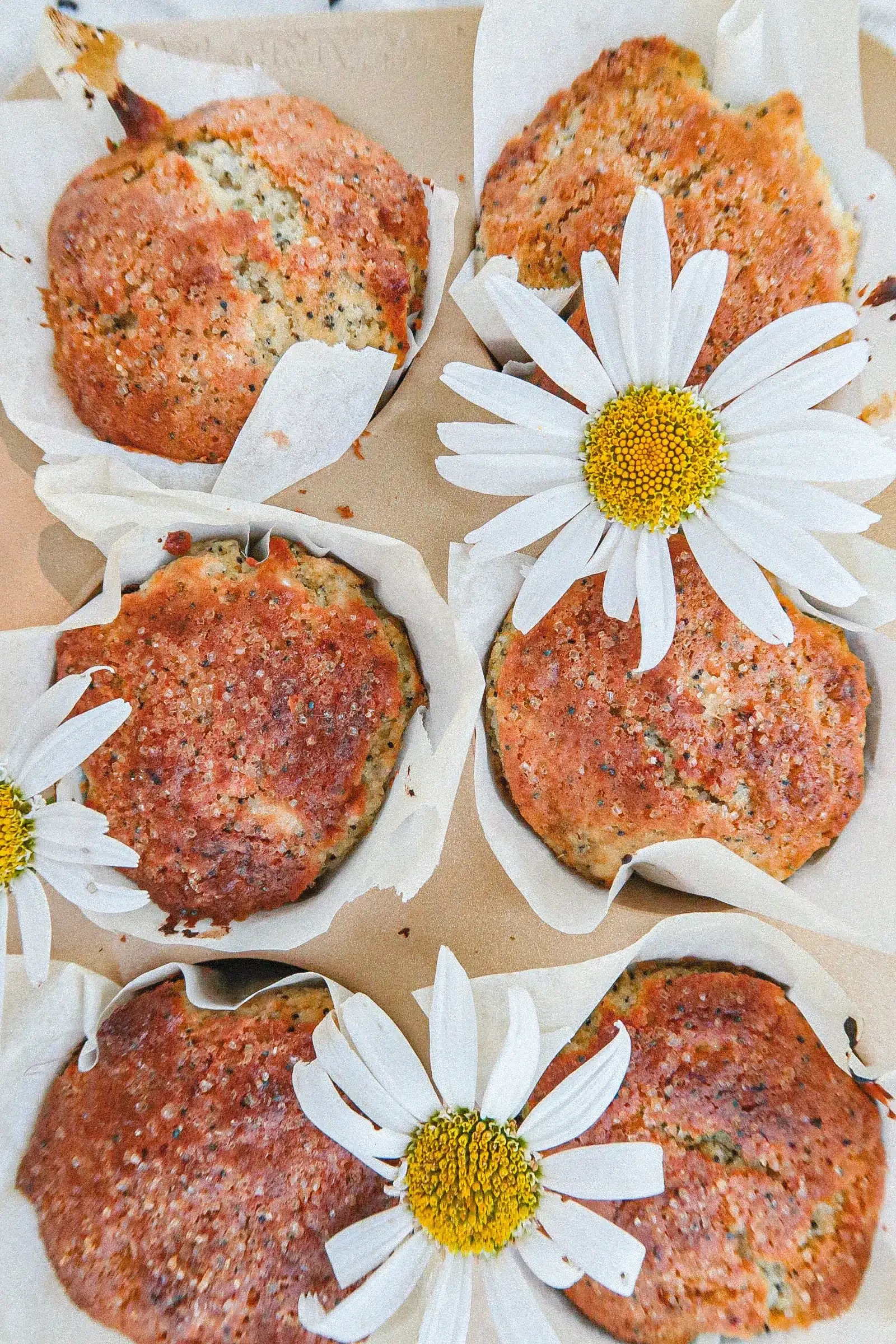 sourdough discard poppyseed muffins