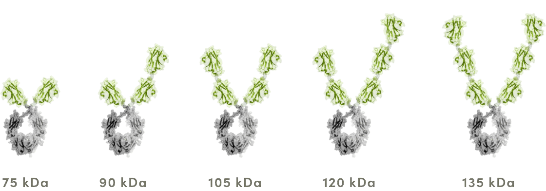 Multivalent Graphic
