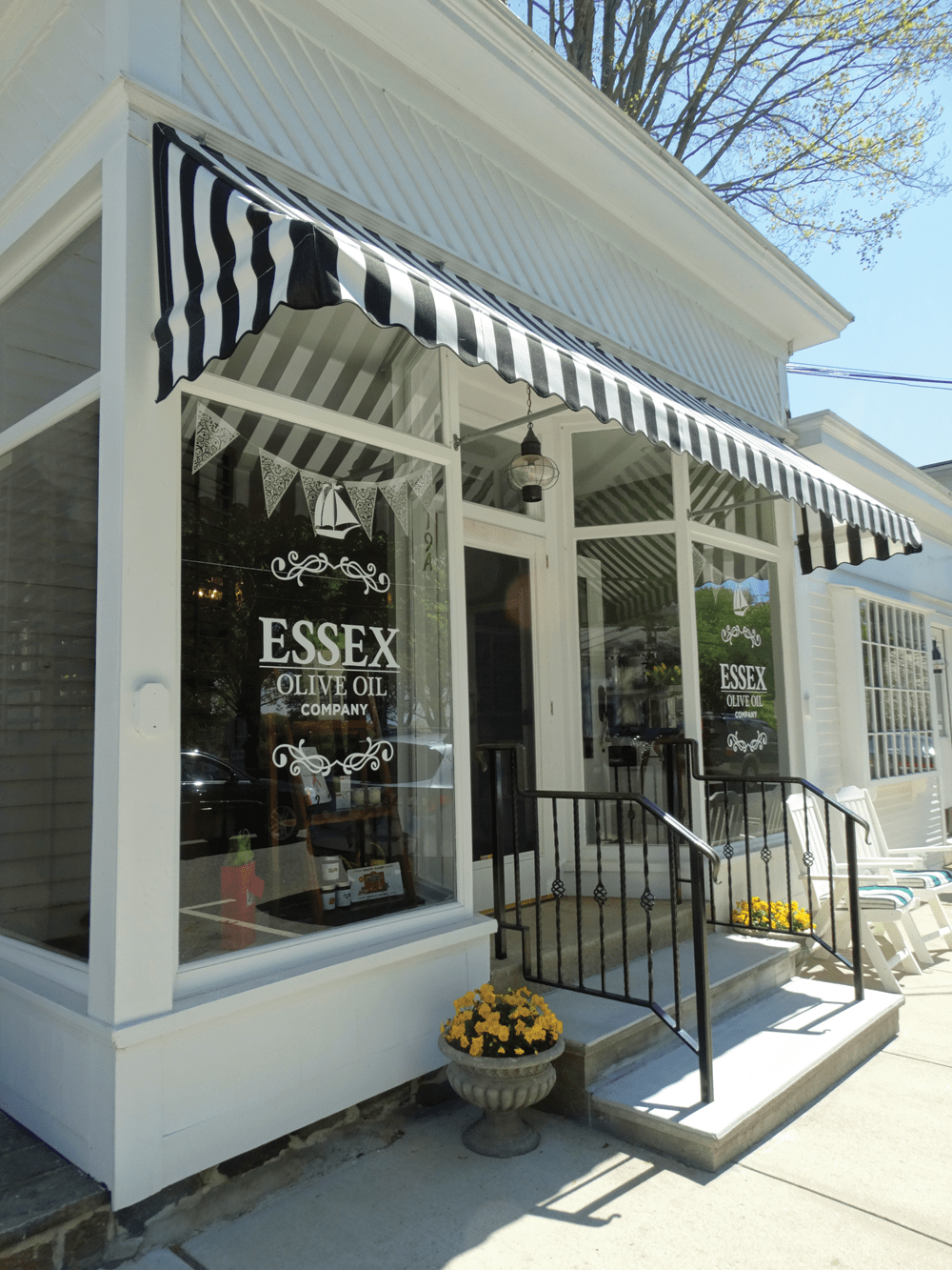 Pairing Olives with Grapes Essex Olive Oil Company Ink Publications