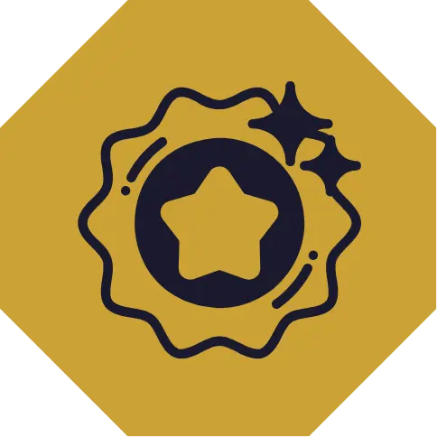 Website Design Service_Branding