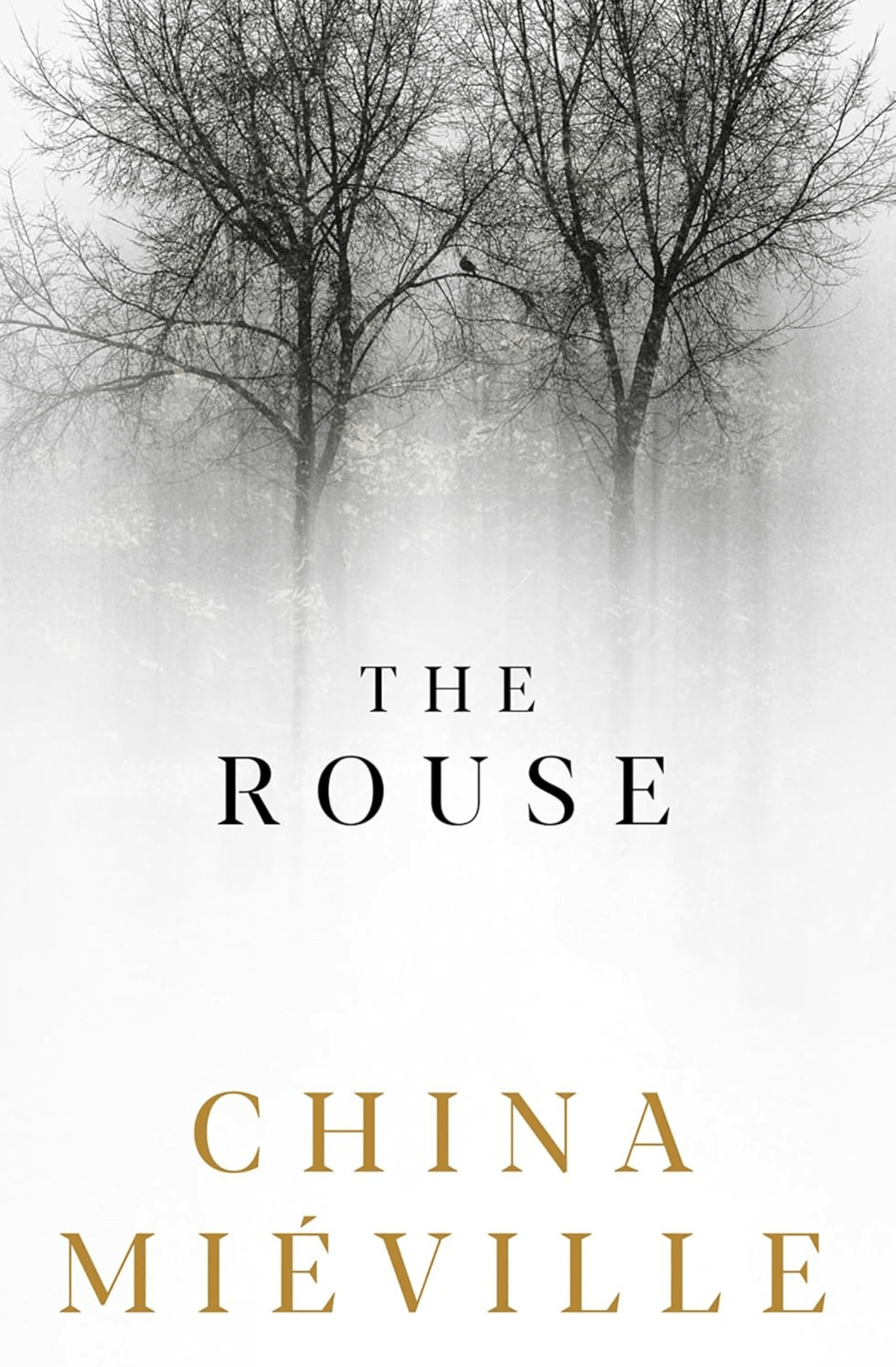 The Rouse