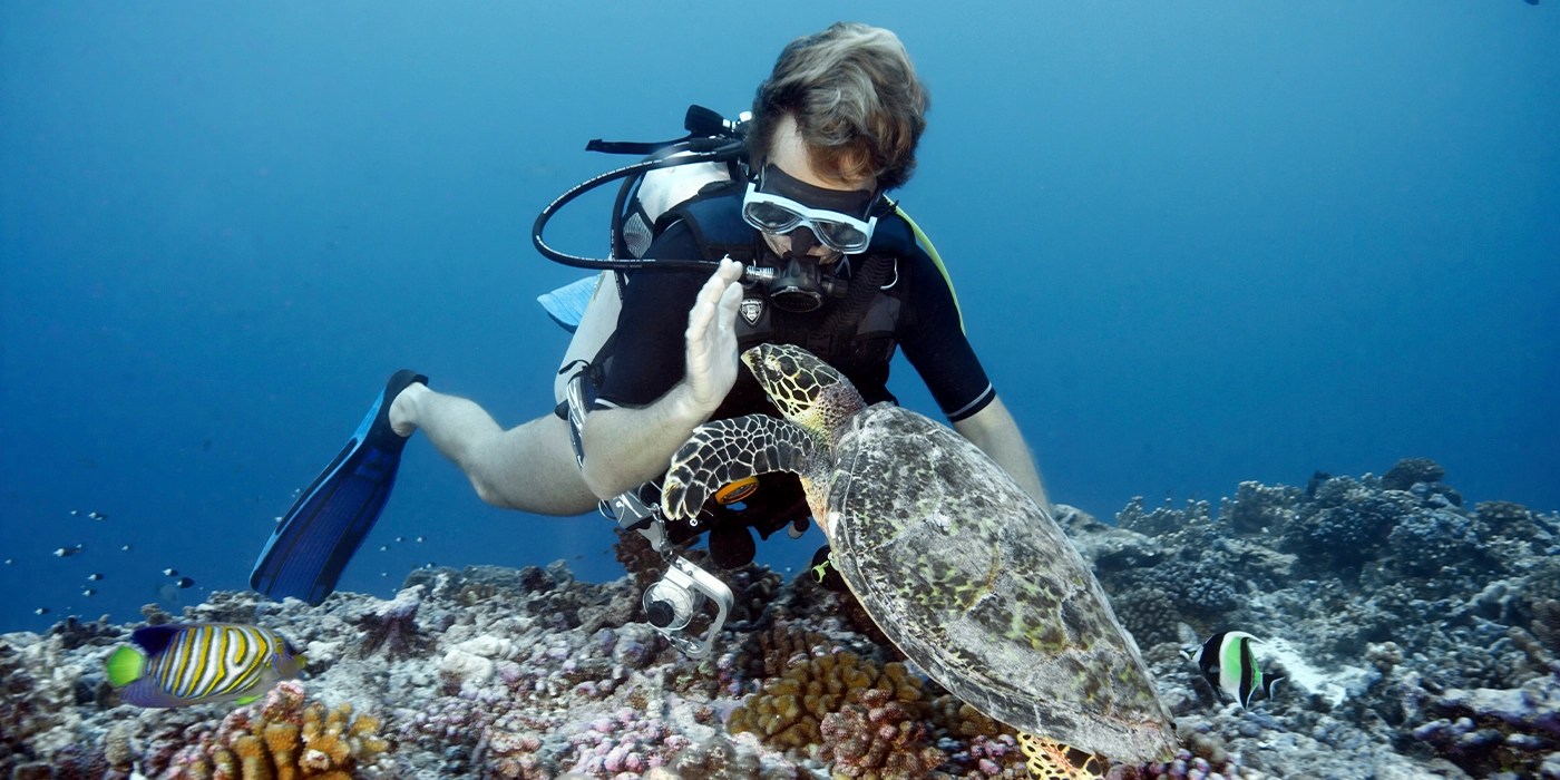 Scuba divers exploring colorful coral reefs in Komodo National Park, Indonesia.