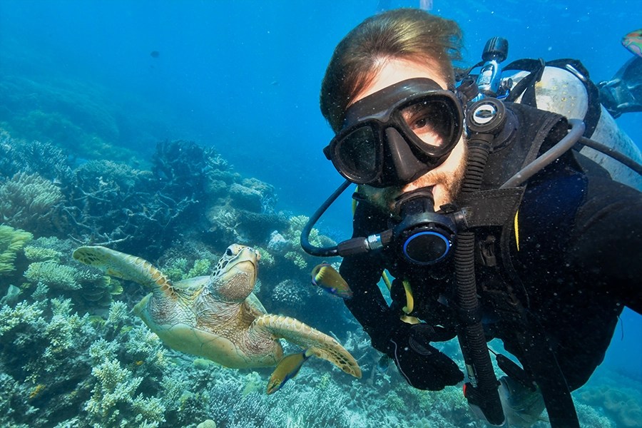 groene zeeschildpad in het Groot Barrièrerif en een duiker