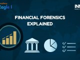 Financial Forensics Explained Innefu Labs