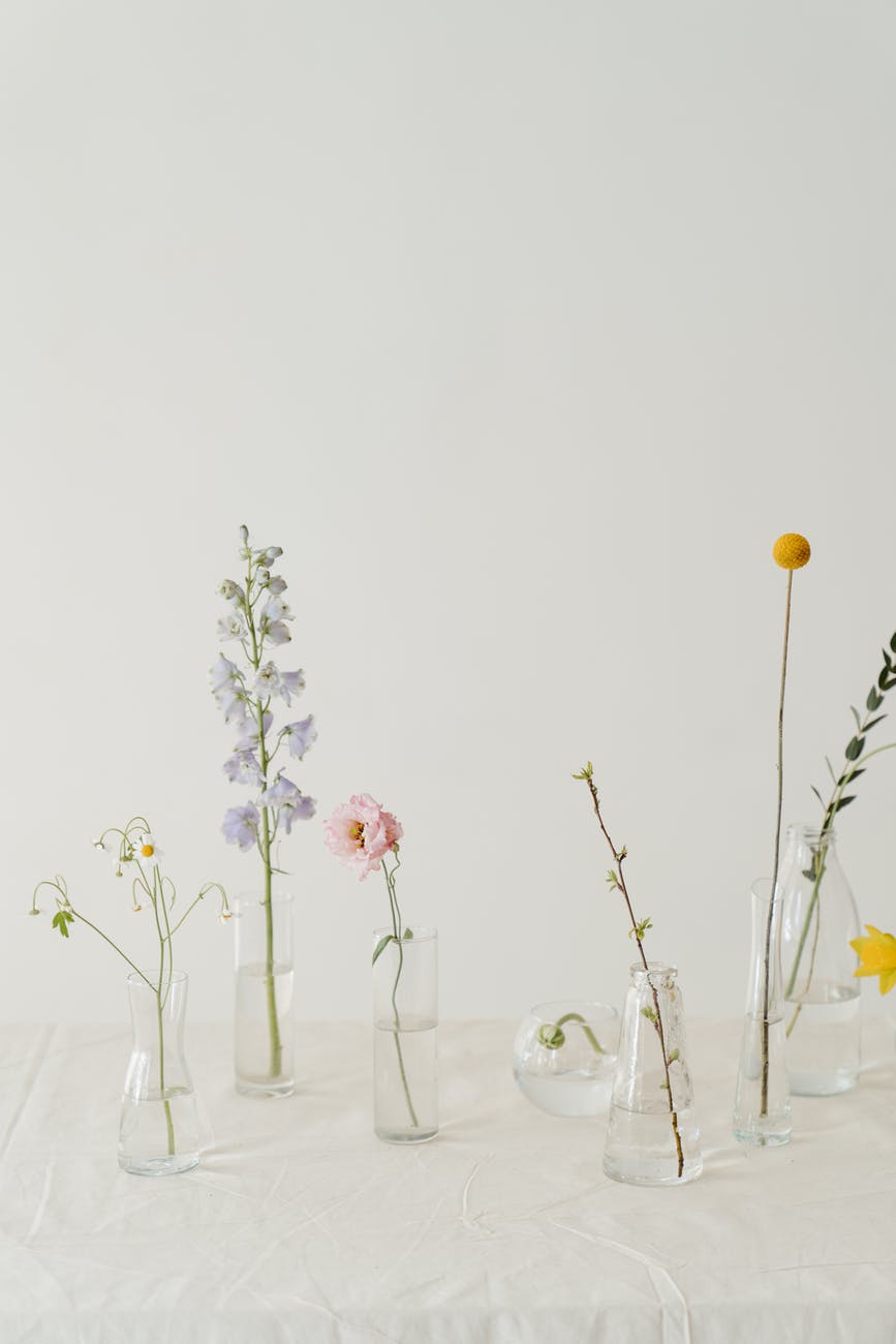 photo of flowers in clear glass vase