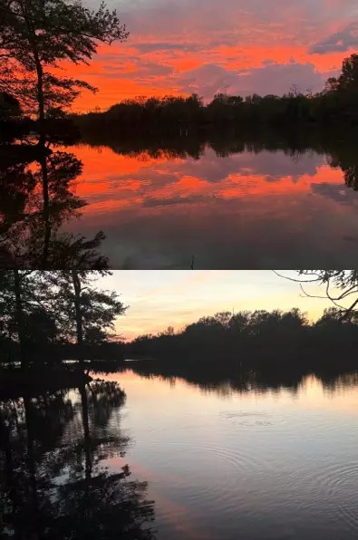 Dramatic. Soft. Comparison.
