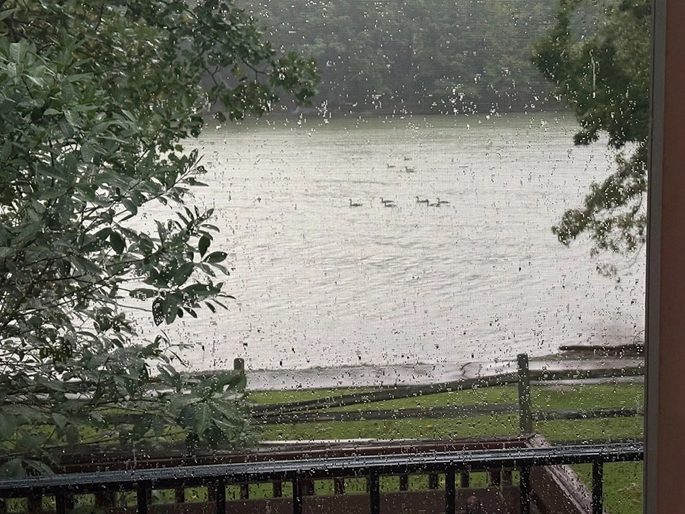 Facing the storm
