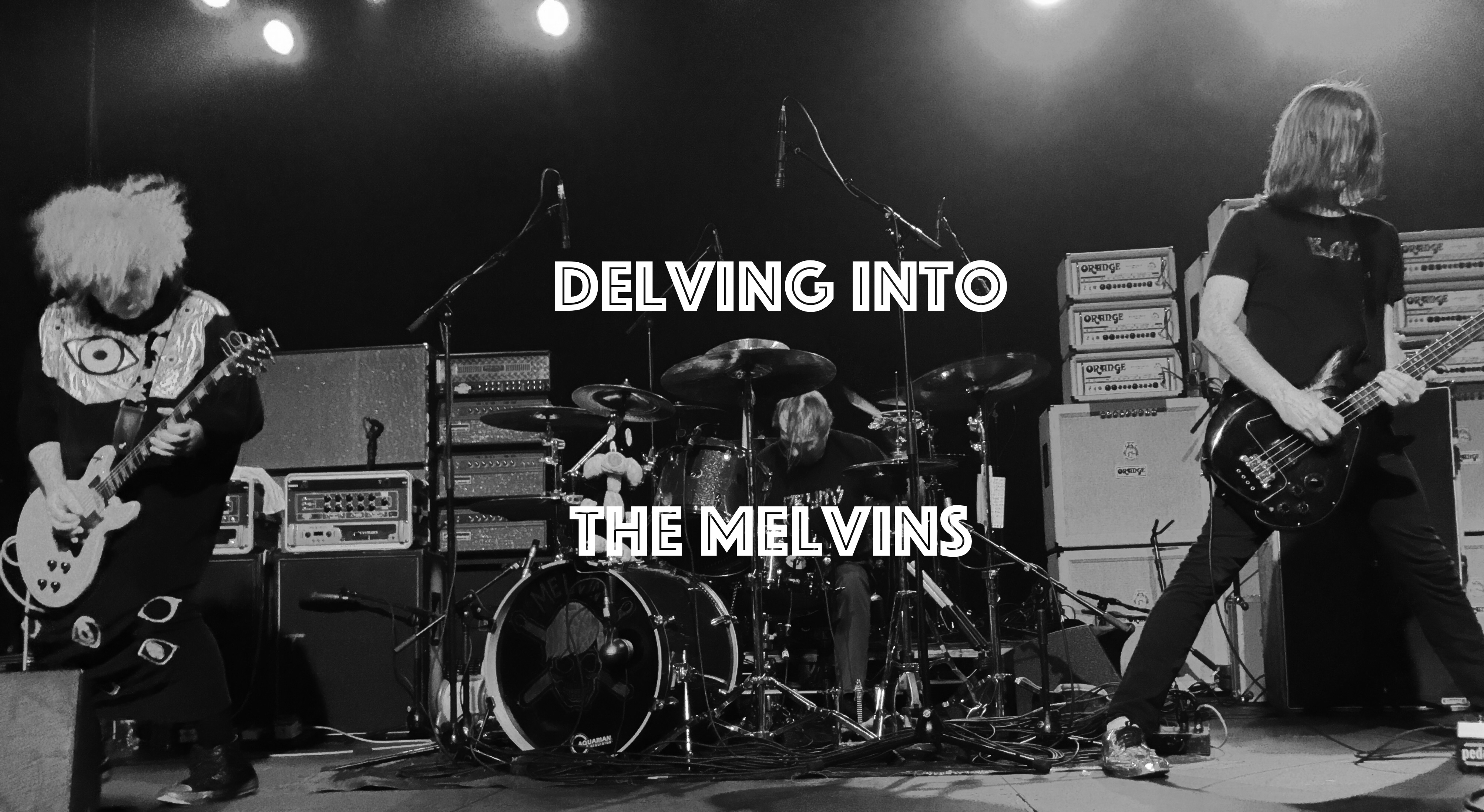 Melvins Photo Web