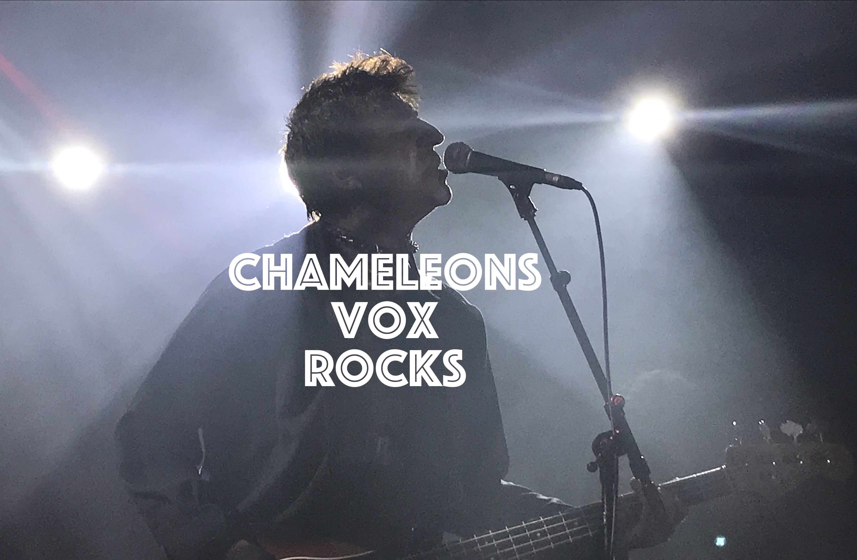 Chameleons Vox Rocks, InnerEdgeMusic.com