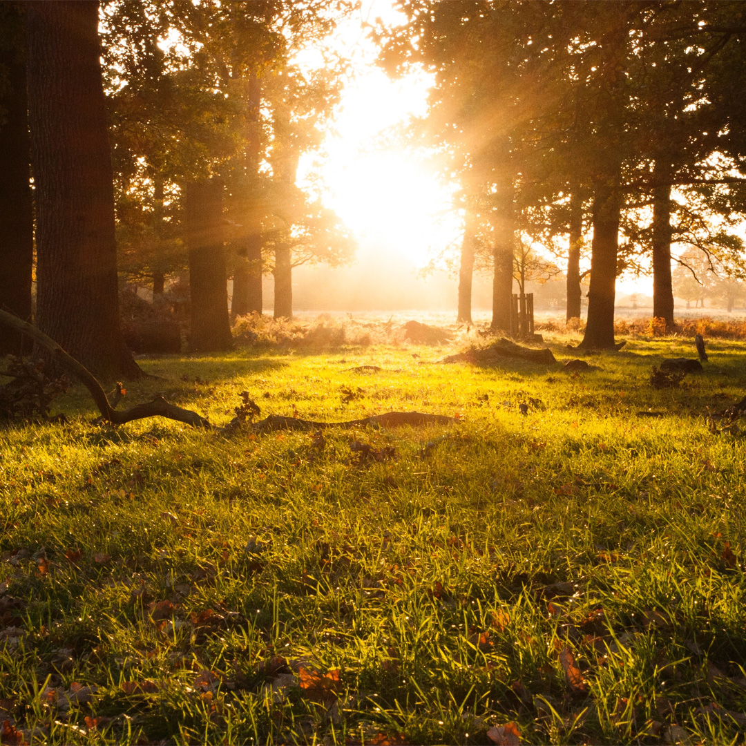 Discover your Inner Peace Meditation