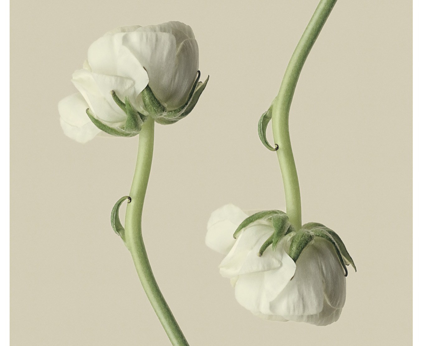 當 A/B 測試的結果不符預期的用戶行為時…