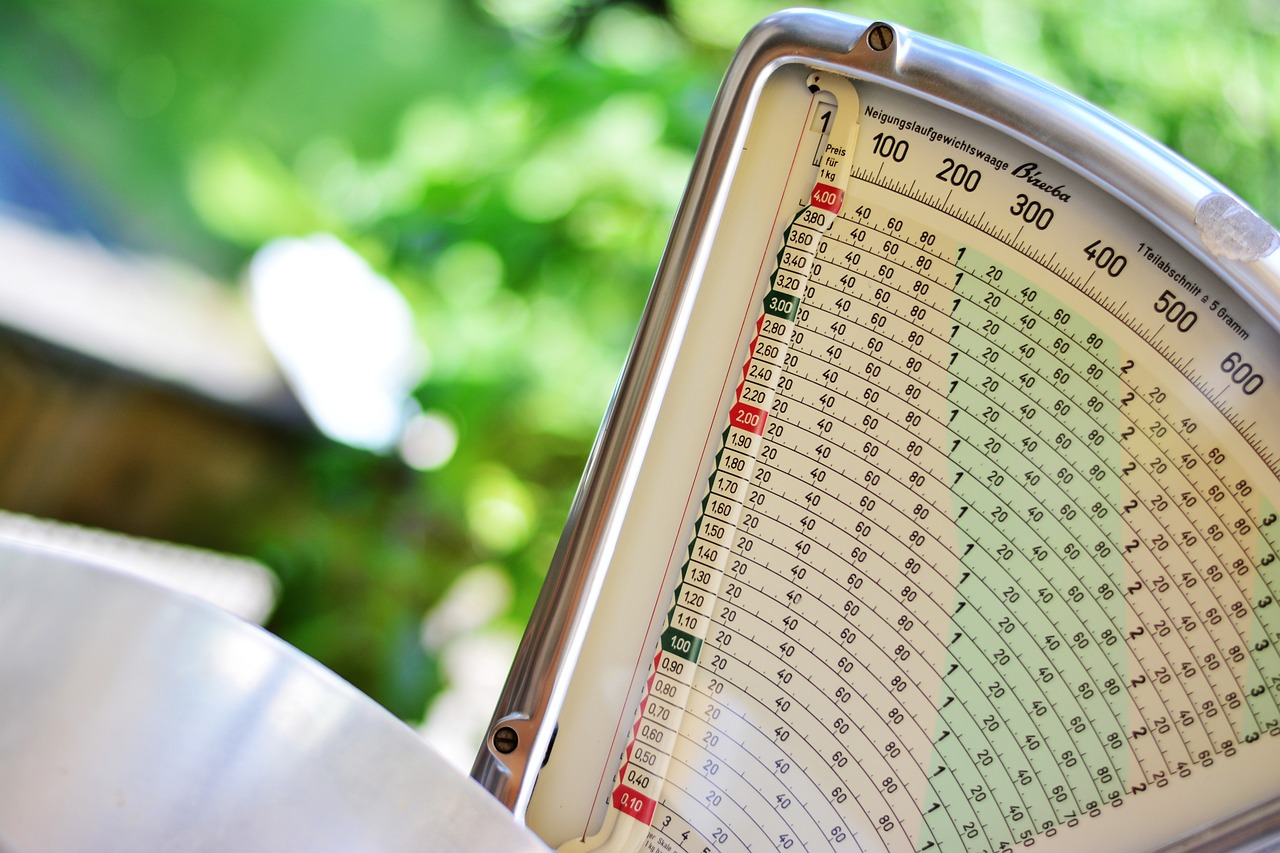 dial weight machine, analog weighing scale, pointer weight scale