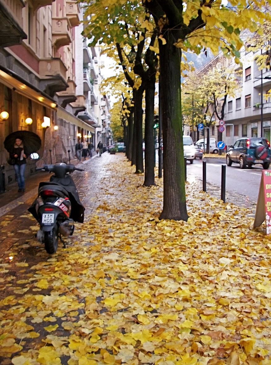 an autumn walk