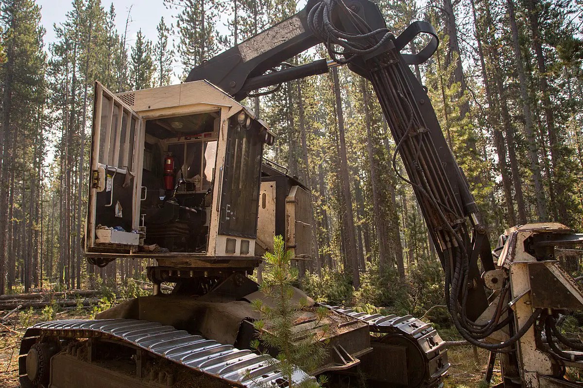 Feller Buncher Types of Construction Vehicles
