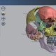 Anatomy Apps for iOS