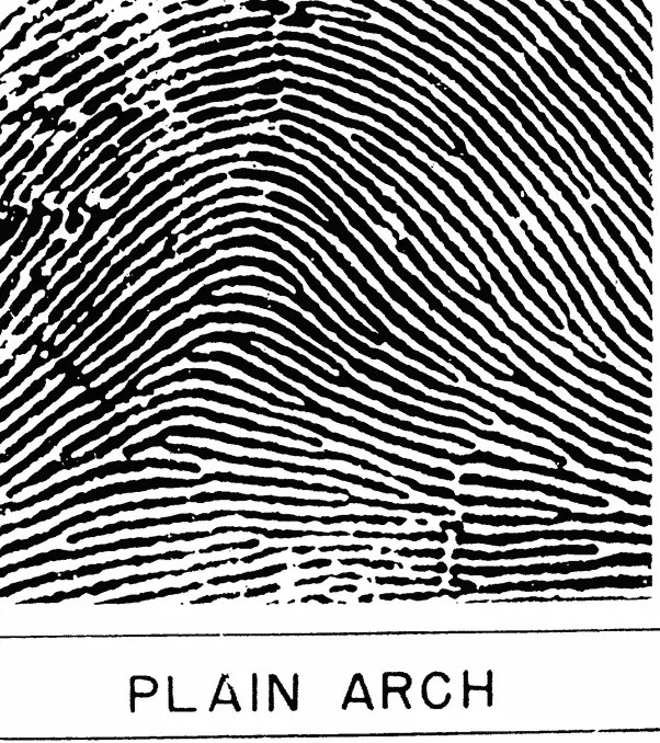 plain Arch