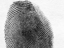 Types of Fingerprint Patterns