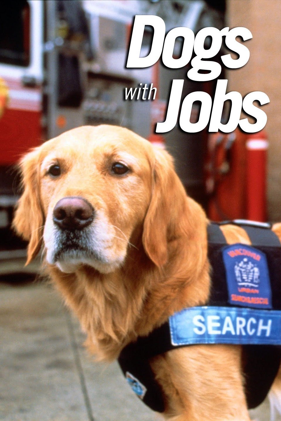 Dogs With Jobs