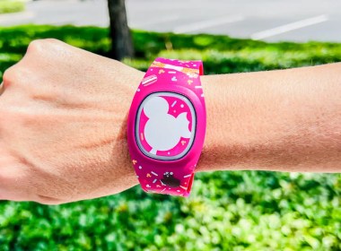 How Do Magic Bands Work