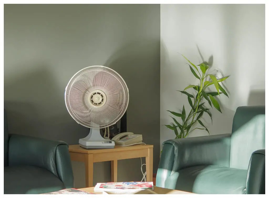 Table Fan