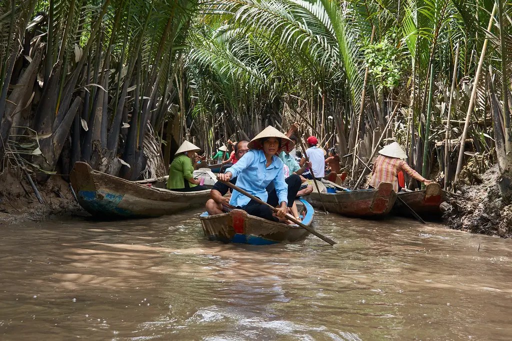 Canoes